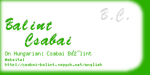 balint csabai business card